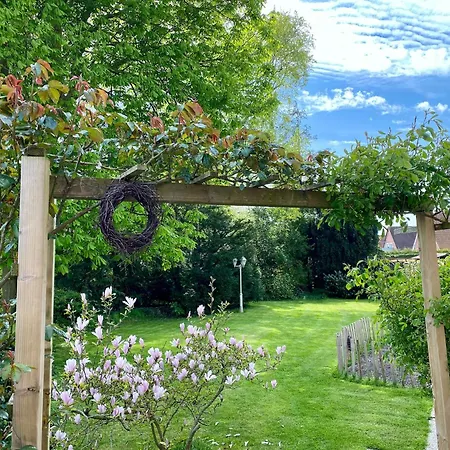 Seestern - Haus Seeschwalbe