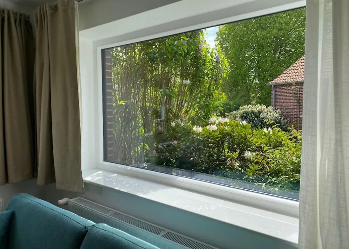 Seestern - Haus Seeschwalbe