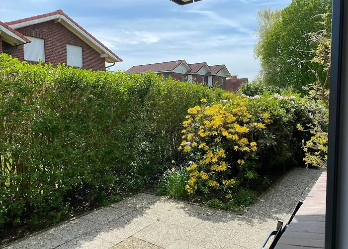 Seestern - Haus Seeschwalbe Schillig