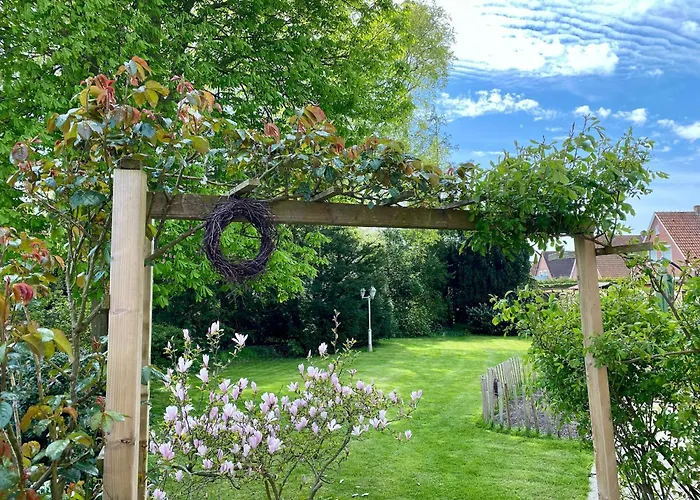 Seestern - Haus Seeschwalbe